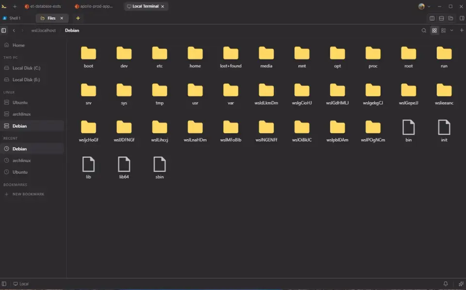 Files with Places for This PC and Linux distros, showing a Debian folder grid.